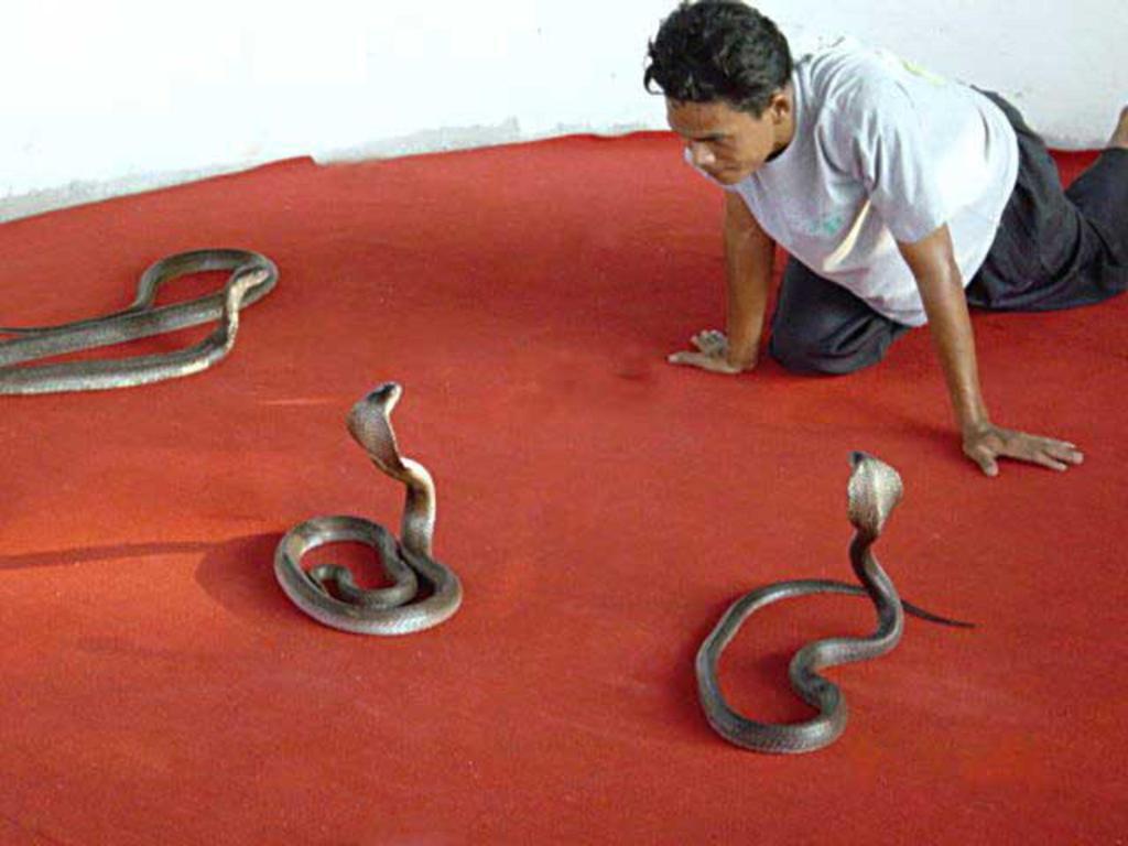 Klong Muang Inn Ban Ko Kwang Экстерьер фото